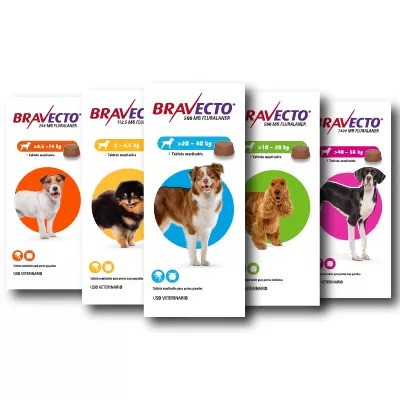 Bravecto dog tacskóknak