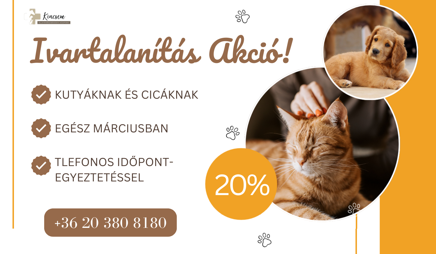 Kutya és macska ivartalanítás akció