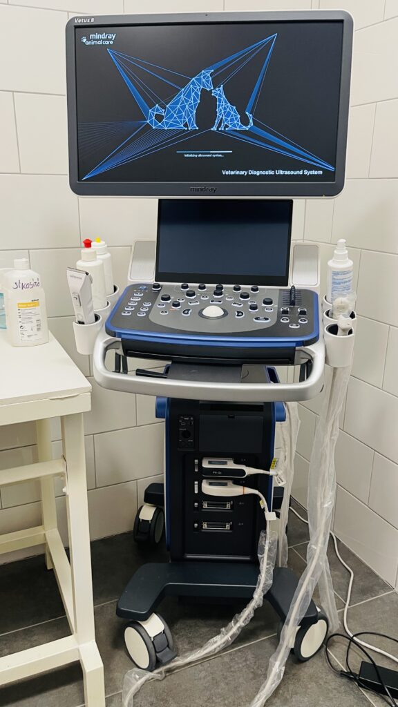 Kutya ultrahang gép