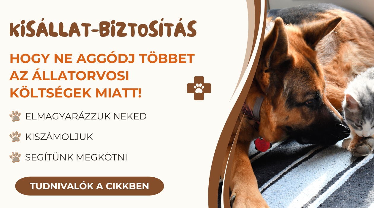 kISÁLLAT-BIZTOSÍTÁS KÉP