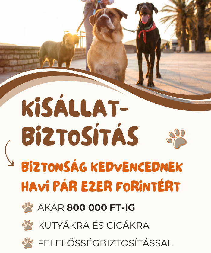 kisállat-biztosítás